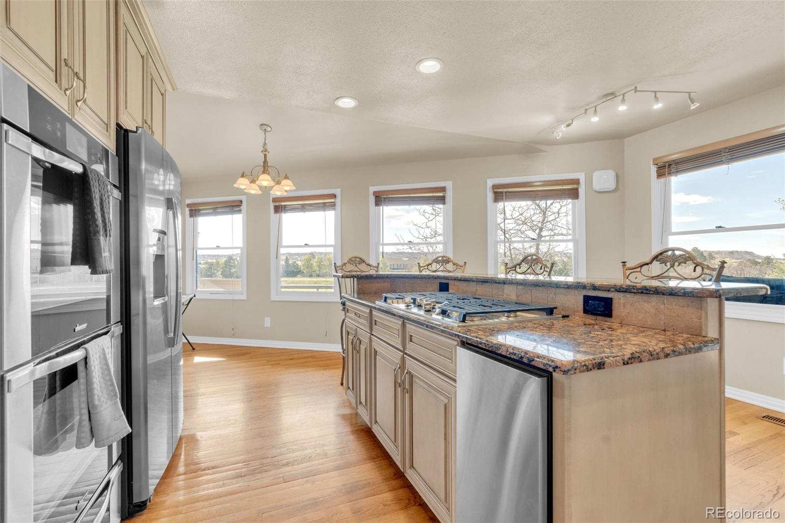MLS Image #13 for 157  cheney place,castle rock, Colorado
