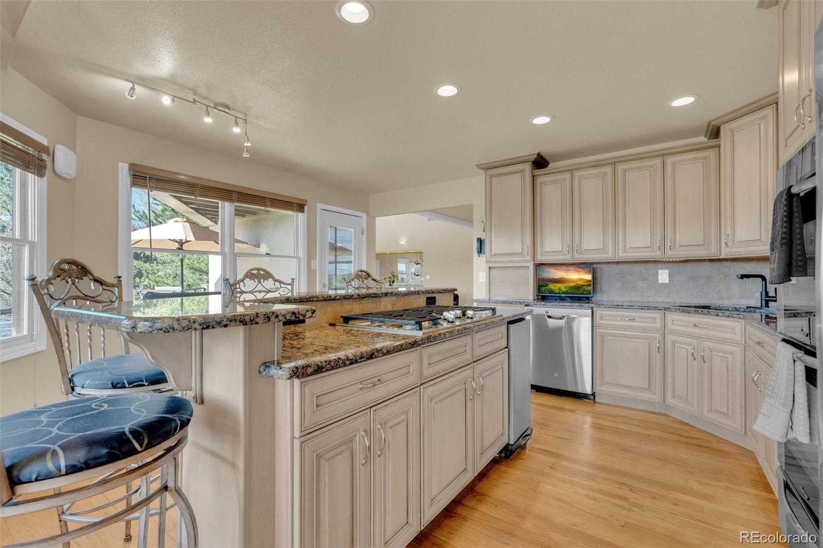 MLS Image #15 for 157  cheney place,castle rock, Colorado