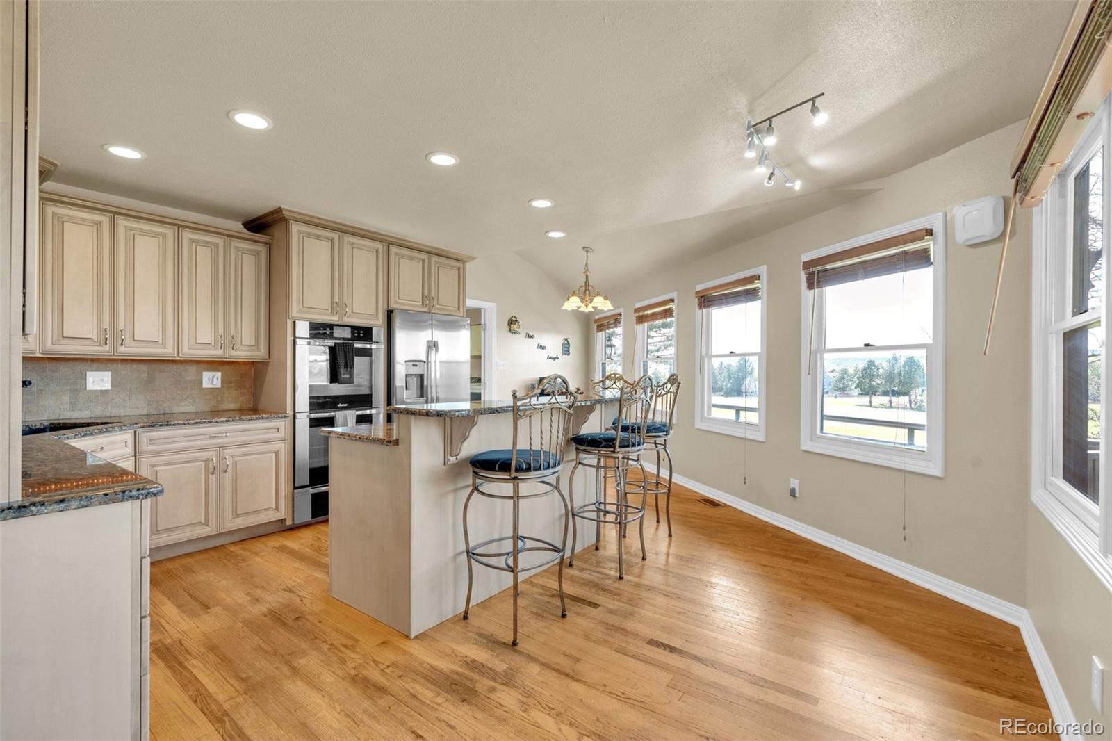 MLS Image #9 for 157  cheney place,castle rock, Colorado