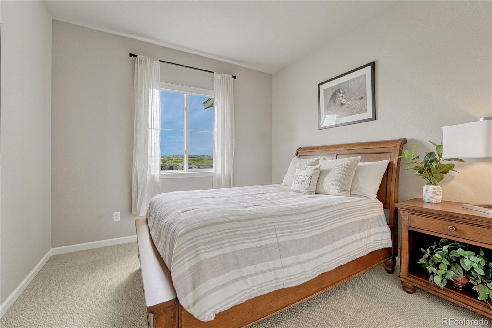 MLS Image #36 for 1470  golden sill drive,castle rock, Colorado