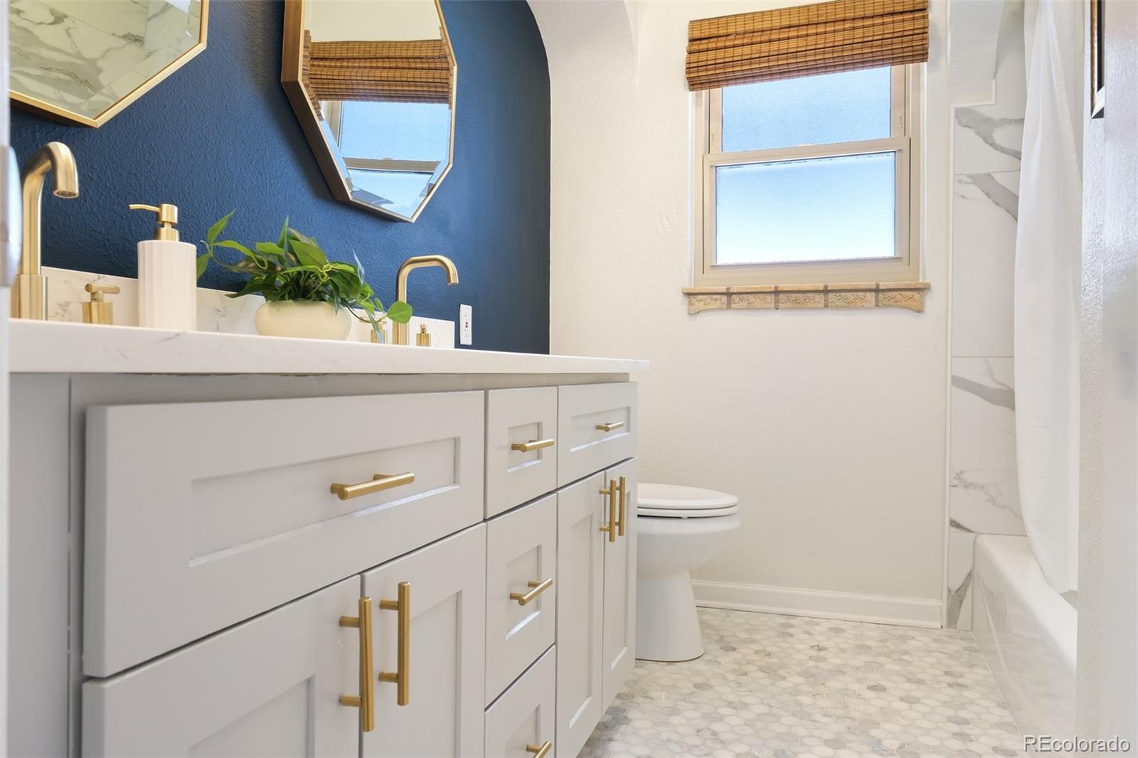 MLS Image #36 for 1580 s josephine street,denver, Colorado
