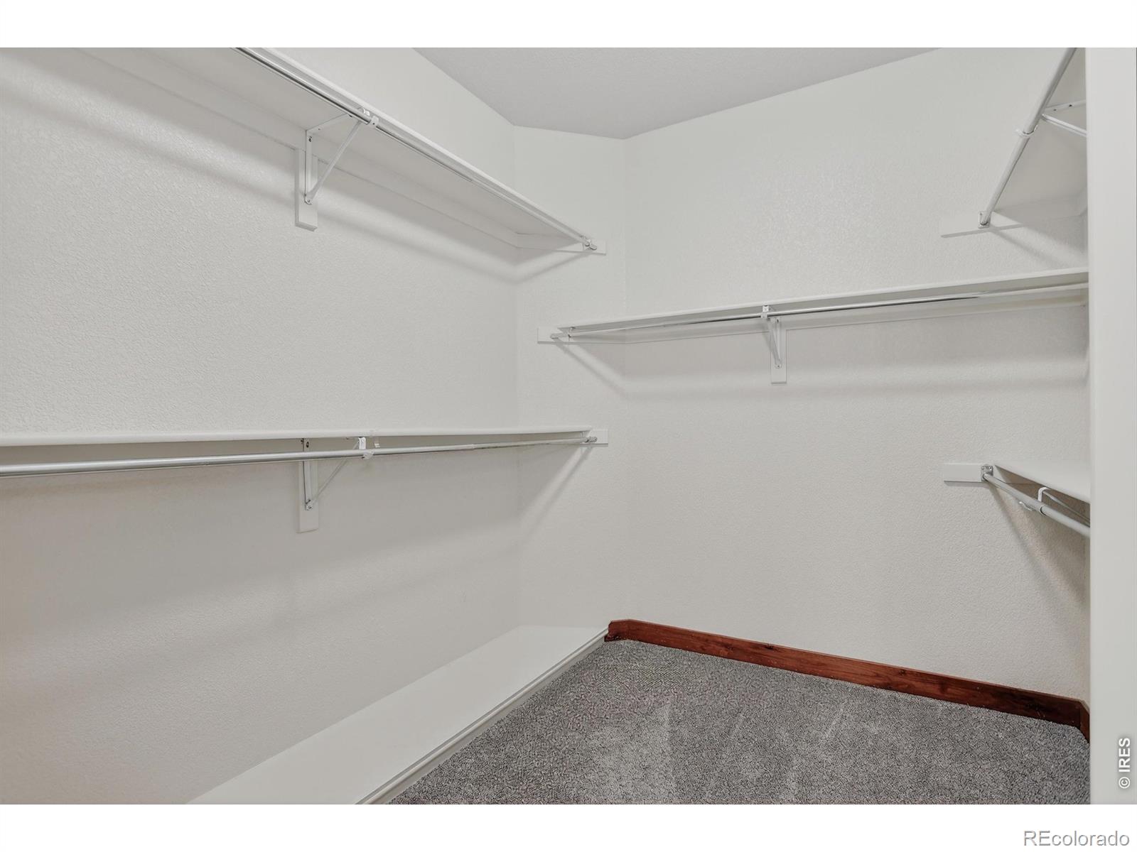 MLS Image #21 for 4710  fruita drive,loveland, Colorado