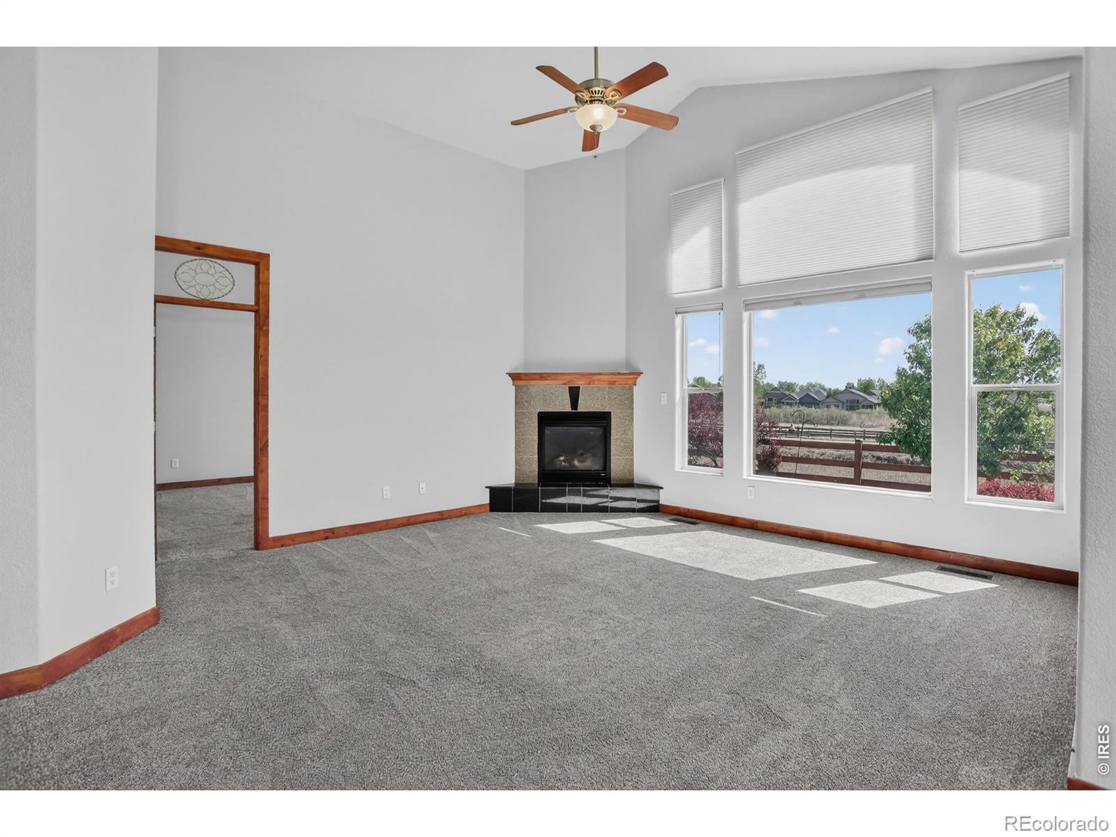 MLS Image #4 for 4710  fruita drive,loveland, Colorado