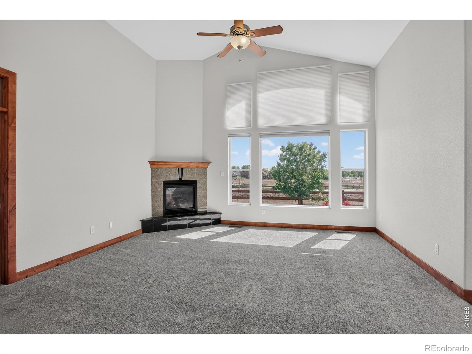 MLS Image #5 for 4710  fruita drive,loveland, Colorado