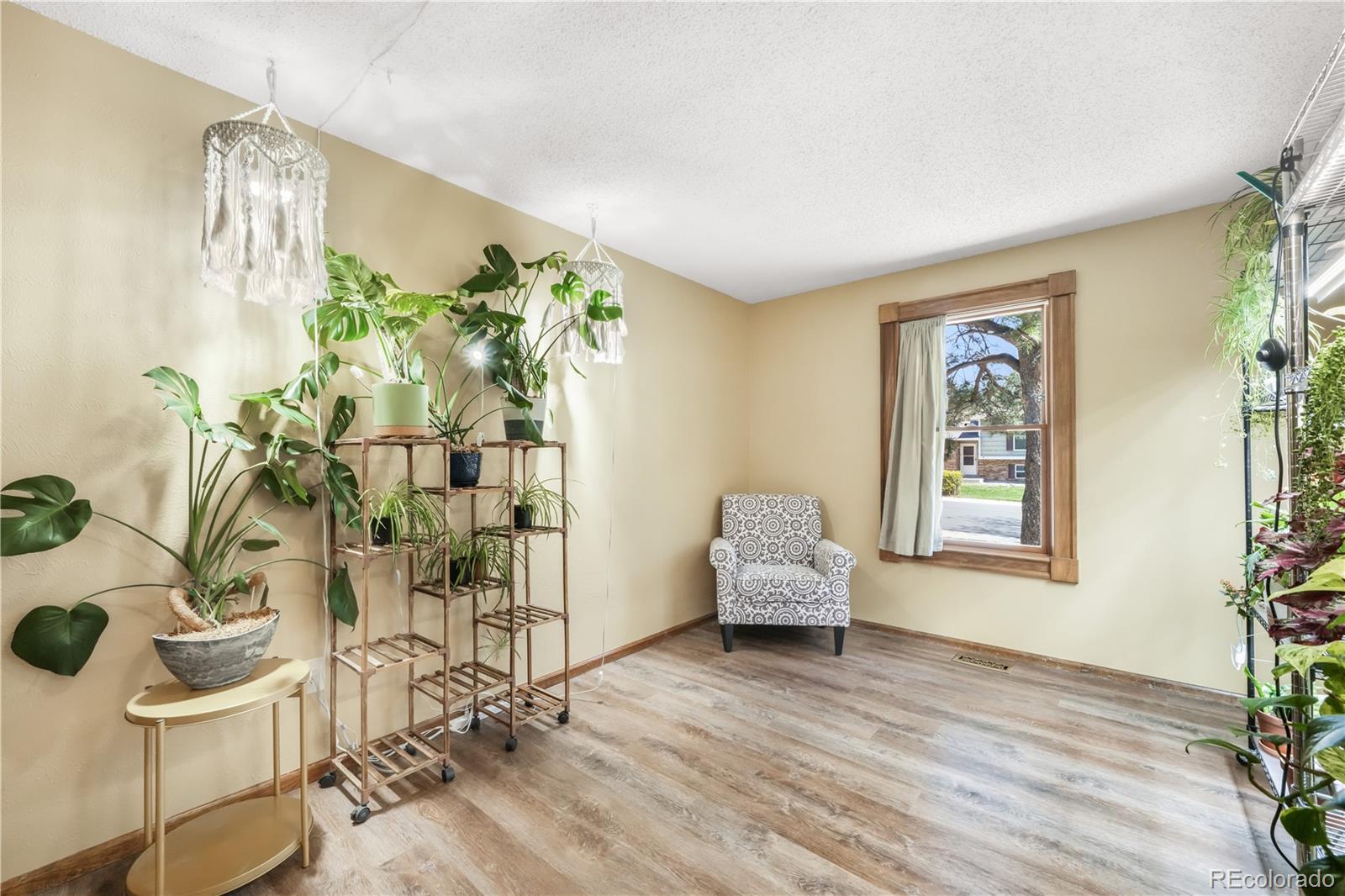 MLS Image #29 for 223  saddlemountain road,colorado springs, Colorado