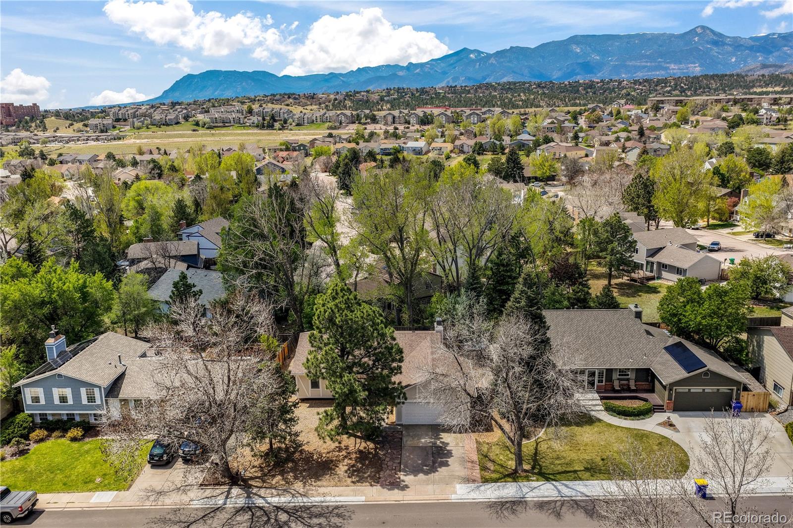 MLS Image #4 for 223  saddlemountain road,colorado springs, Colorado