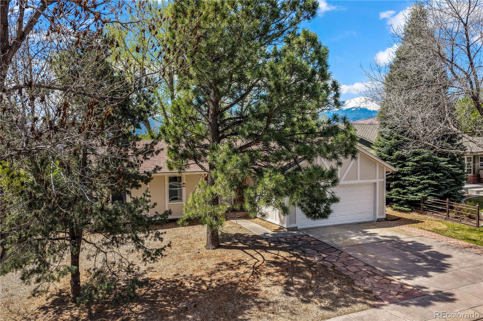 MLS Image #7 for 223  saddlemountain road,colorado springs, Colorado