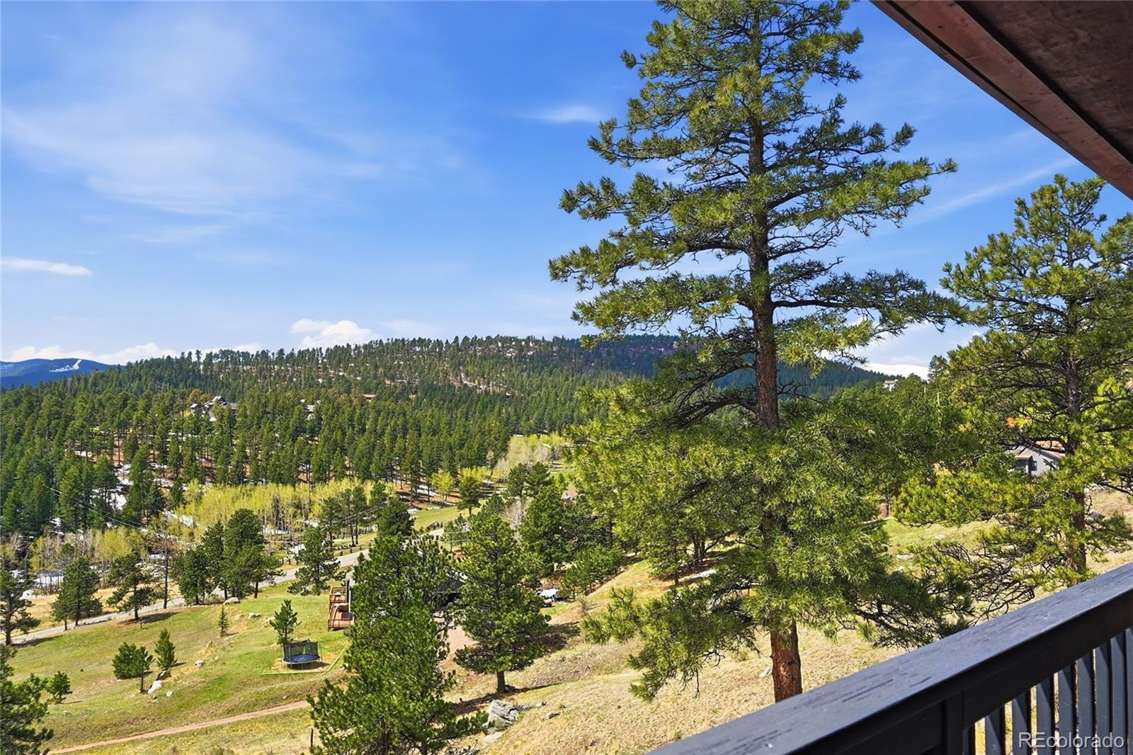 MLS Image #29 for 33254  bergen mountain road,evergreen, Colorado