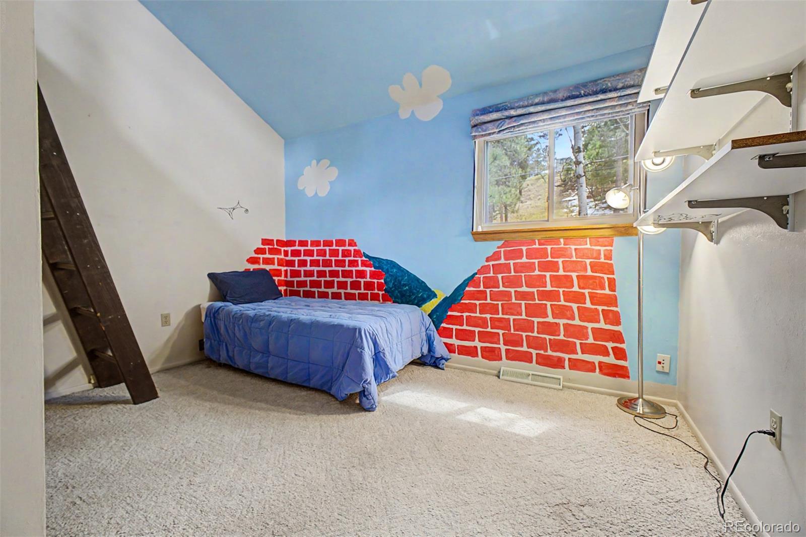 MLS Image #22 for 5302 s pine road,evergreen, Colorado