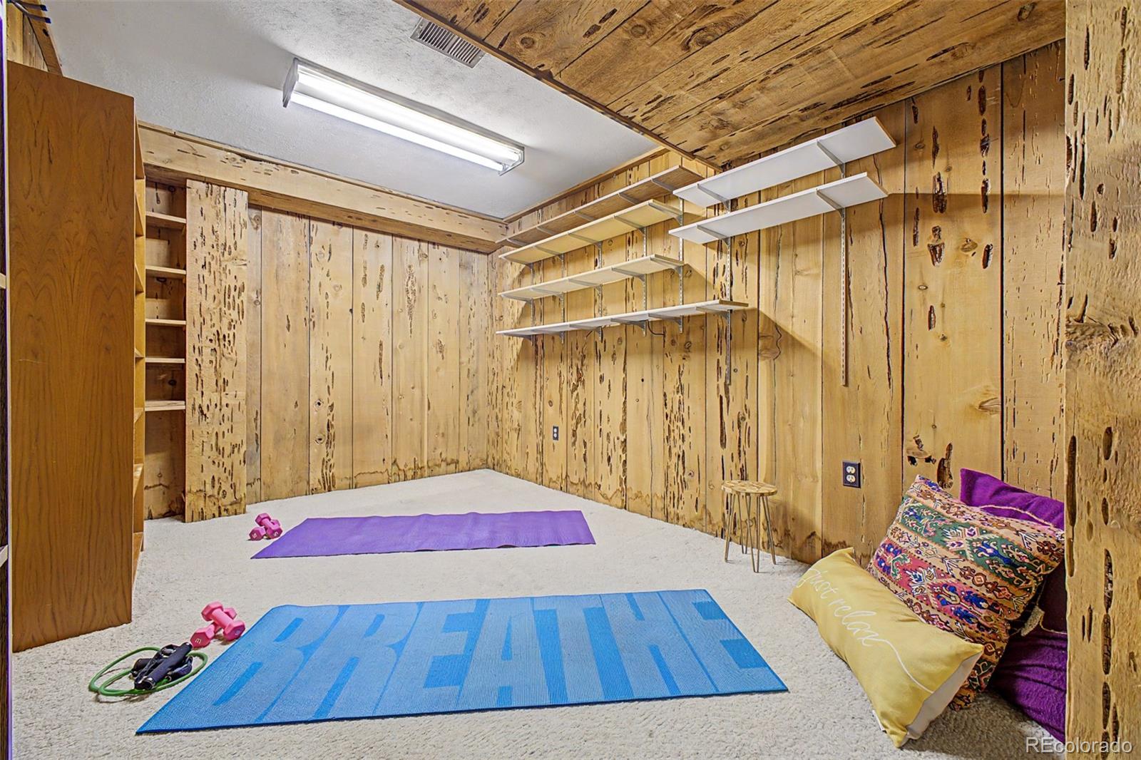 MLS Image #26 for 5302 s pine road,evergreen, Colorado
