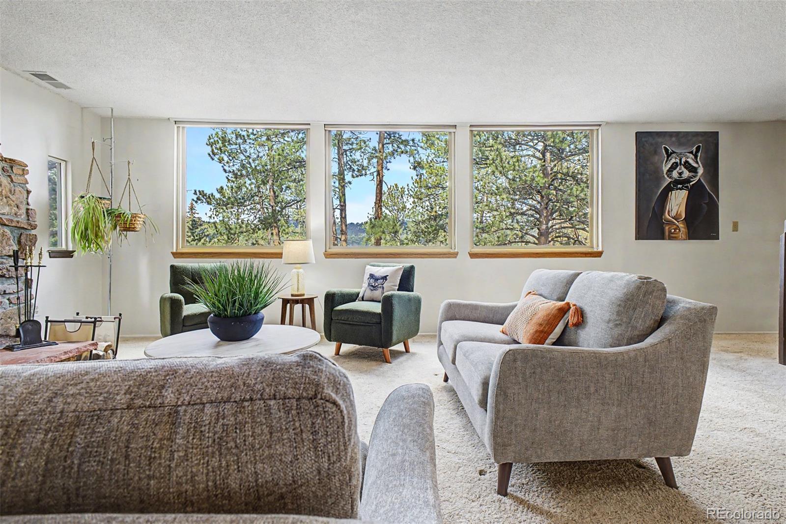 MLS Image #4 for 5302 s pine road,evergreen, Colorado