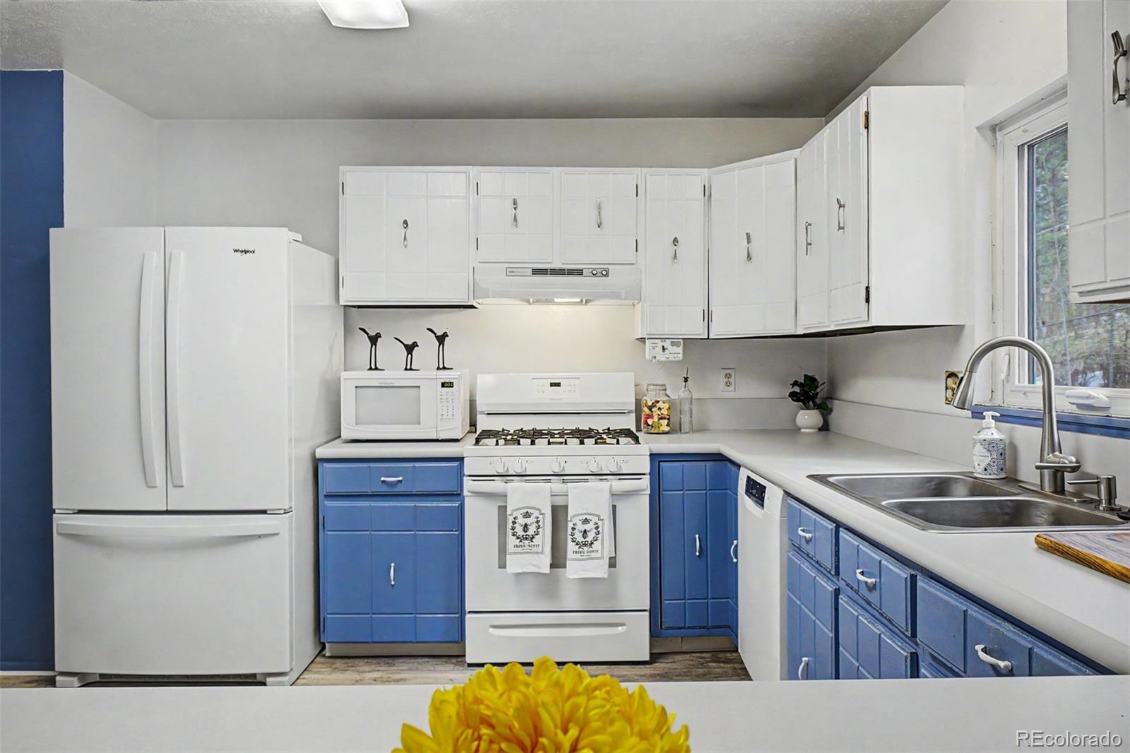 MLS Image #7 for 5302 s pine road,evergreen, Colorado