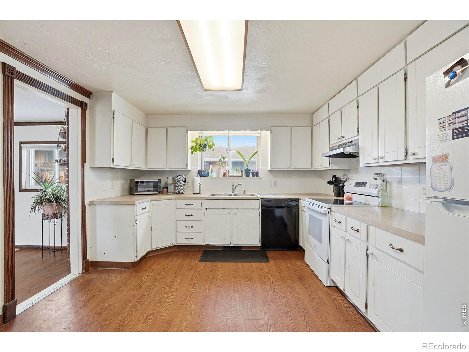 MLS Image #11 for 1119  bross street,longmont, Colorado