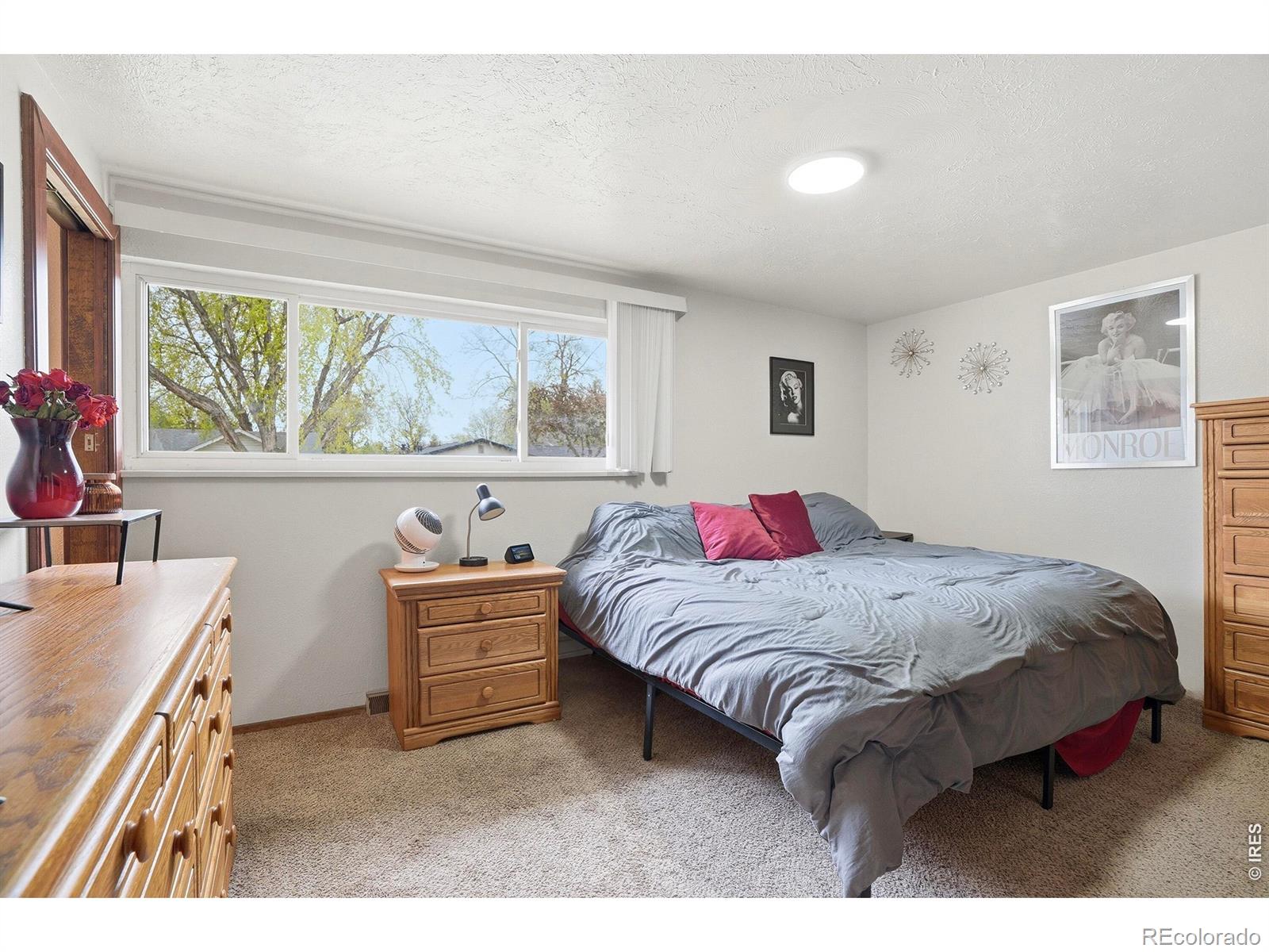 MLS Image #16 for 1119  bross street,longmont, Colorado