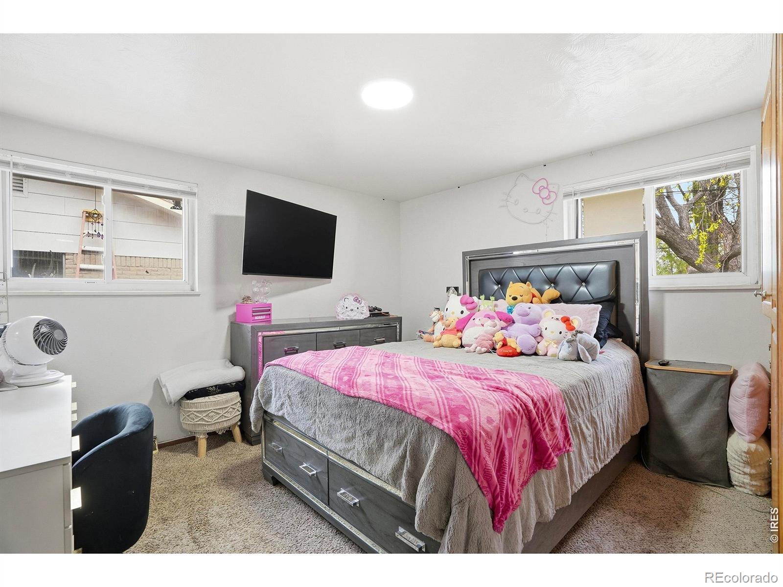 MLS Image #24 for 1119  bross street,longmont, Colorado