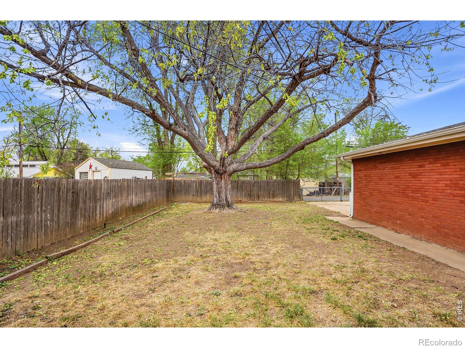 MLS Image #28 for 1119  bross street,longmont, Colorado