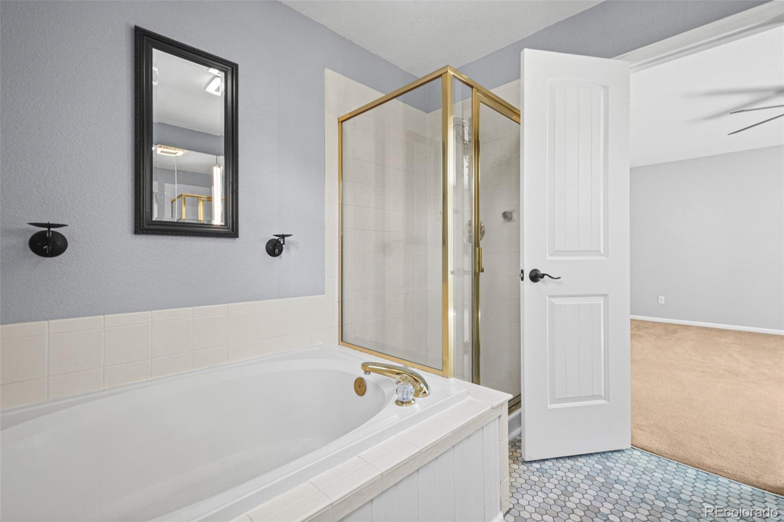 MLS Image #20 for 2644  cove creek court,highlands ranch, Colorado