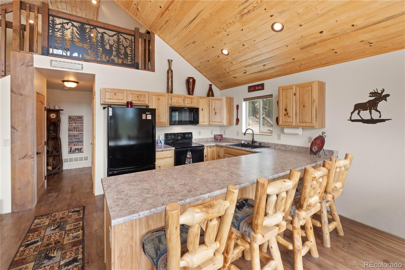 MLS Image #11 for 64  bourbons way,fairplay, Colorado