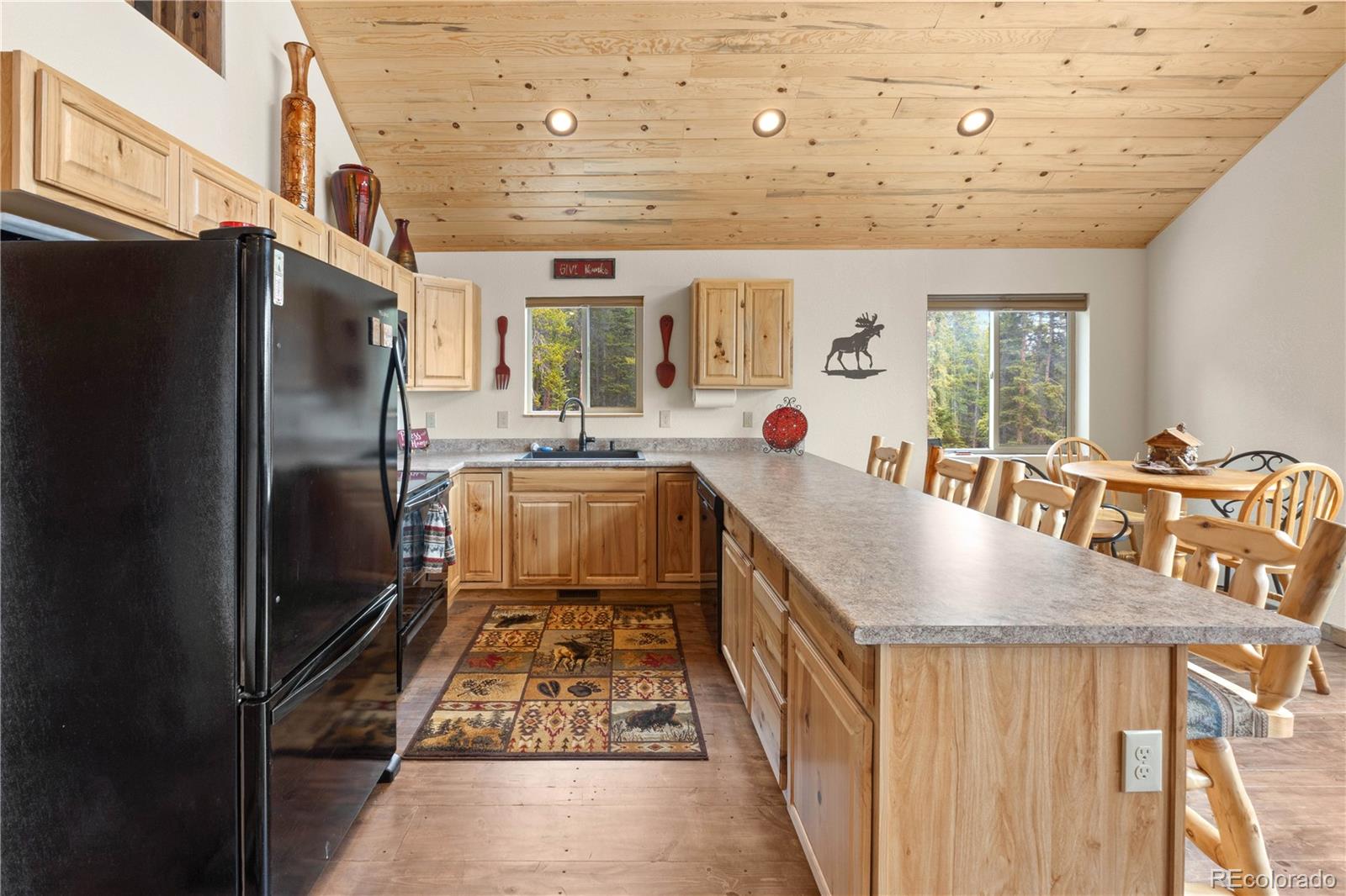MLS Image #12 for 64  bourbons way,fairplay, Colorado