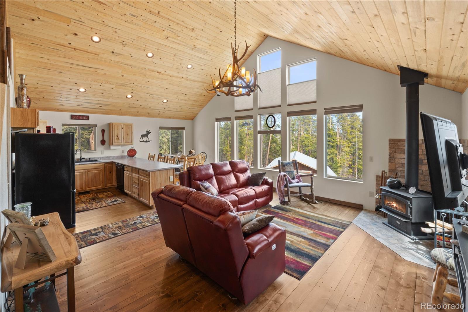 MLS Image #13 for 64  bourbons way,fairplay, Colorado