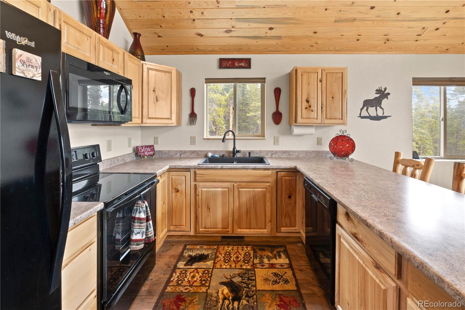 MLS Image #14 for 64  bourbons way,fairplay, Colorado