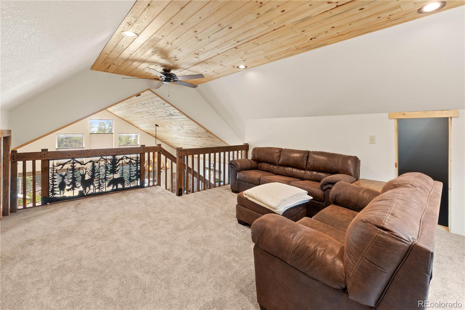 MLS Image #15 for 64  bourbons way,fairplay, Colorado