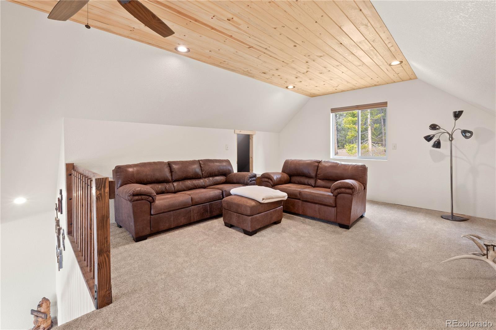 MLS Image #16 for 64  bourbons way,fairplay, Colorado
