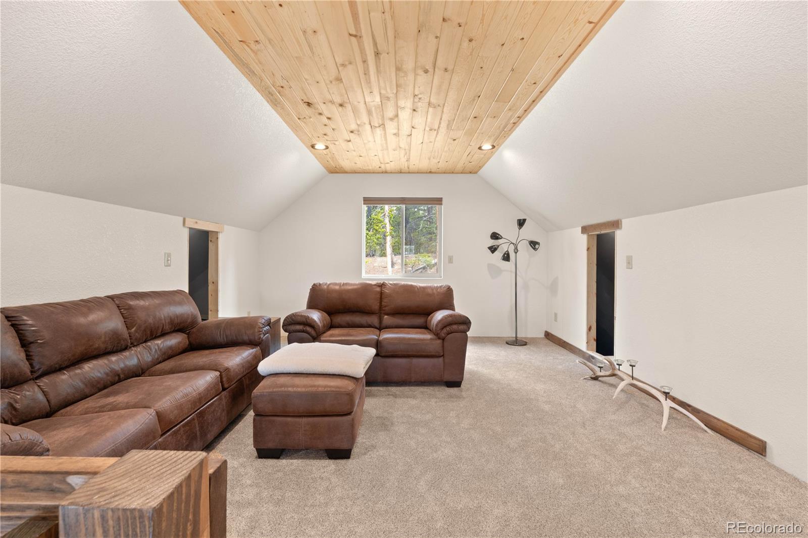 MLS Image #17 for 64  bourbons way,fairplay, Colorado