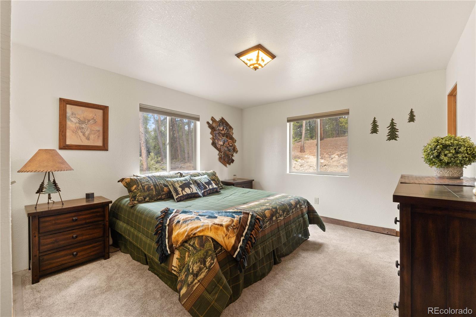 MLS Image #18 for 64  bourbons way,fairplay, Colorado