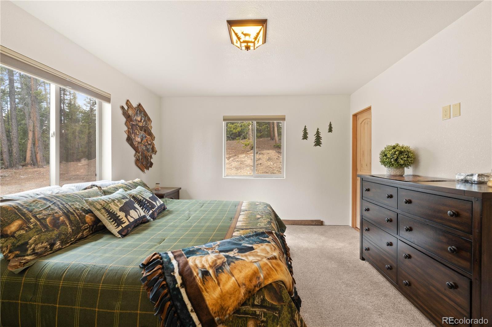 MLS Image #19 for 64  bourbons way,fairplay, Colorado