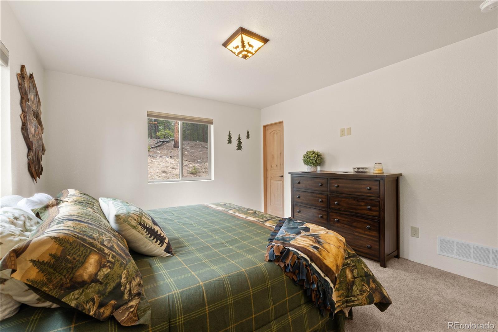 MLS Image #20 for 64  bourbons way,fairplay, Colorado