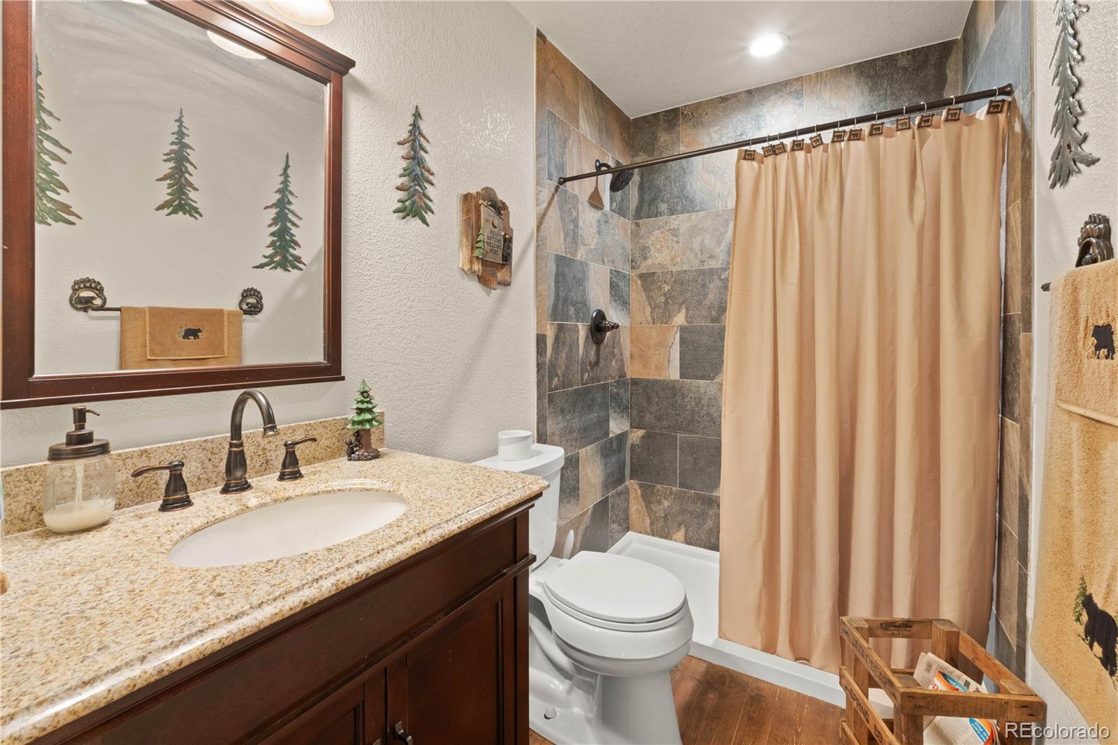MLS Image #21 for 64  bourbons way,fairplay, Colorado