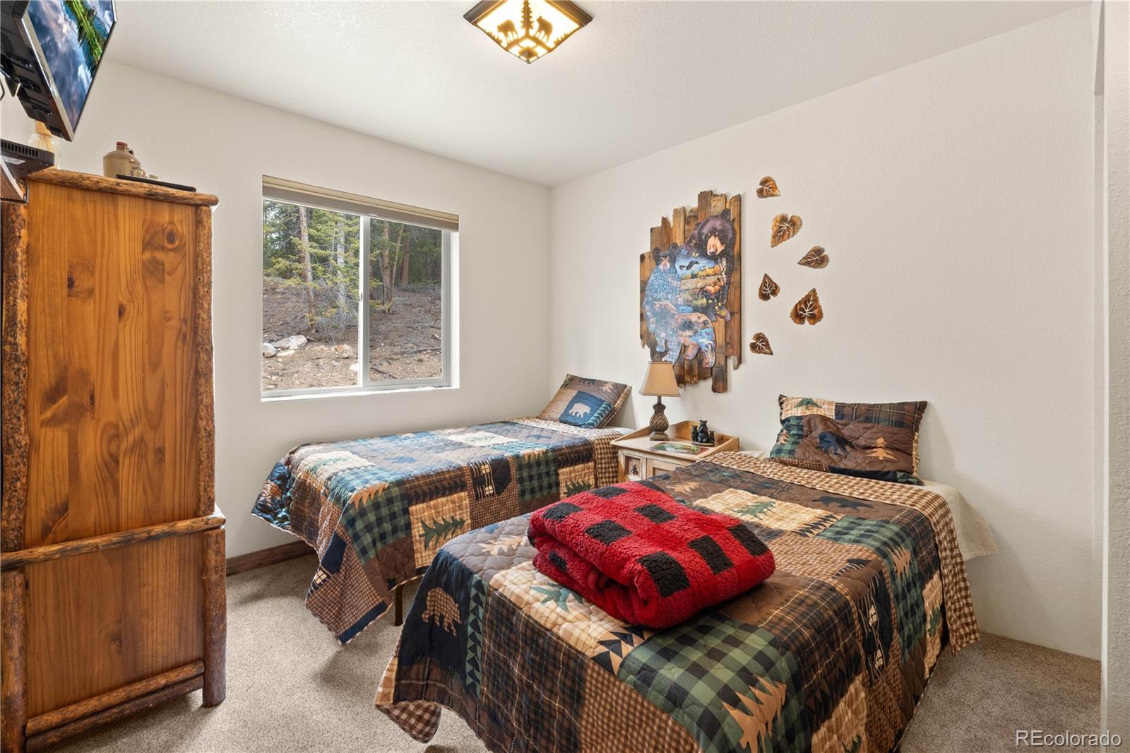MLS Image #22 for 64  bourbons way,fairplay, Colorado