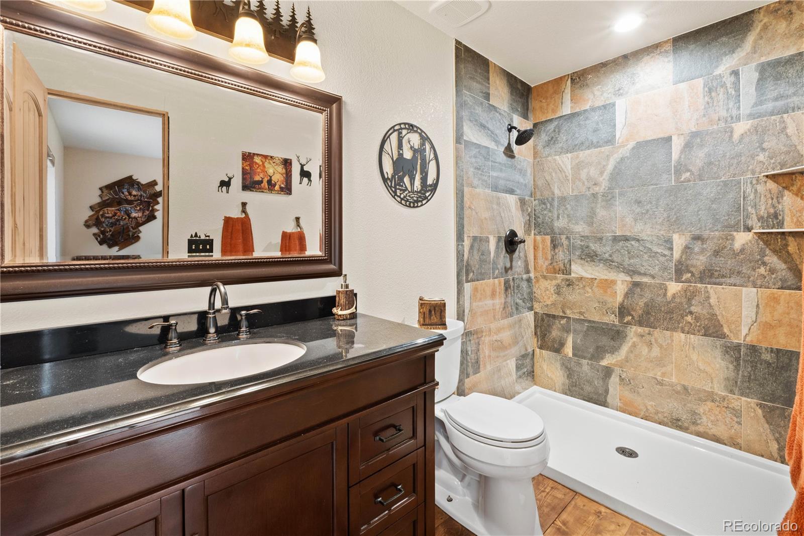 MLS Image #24 for 64  bourbons way,fairplay, Colorado