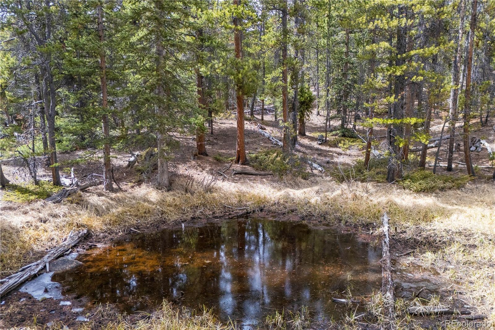 MLS Image #27 for 64  bourbons way,fairplay, Colorado