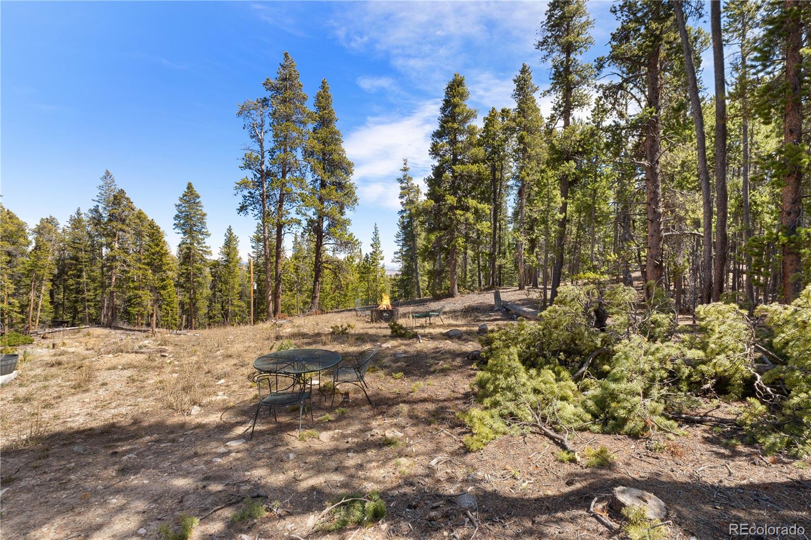 MLS Image #28 for 64  bourbons way,fairplay, Colorado