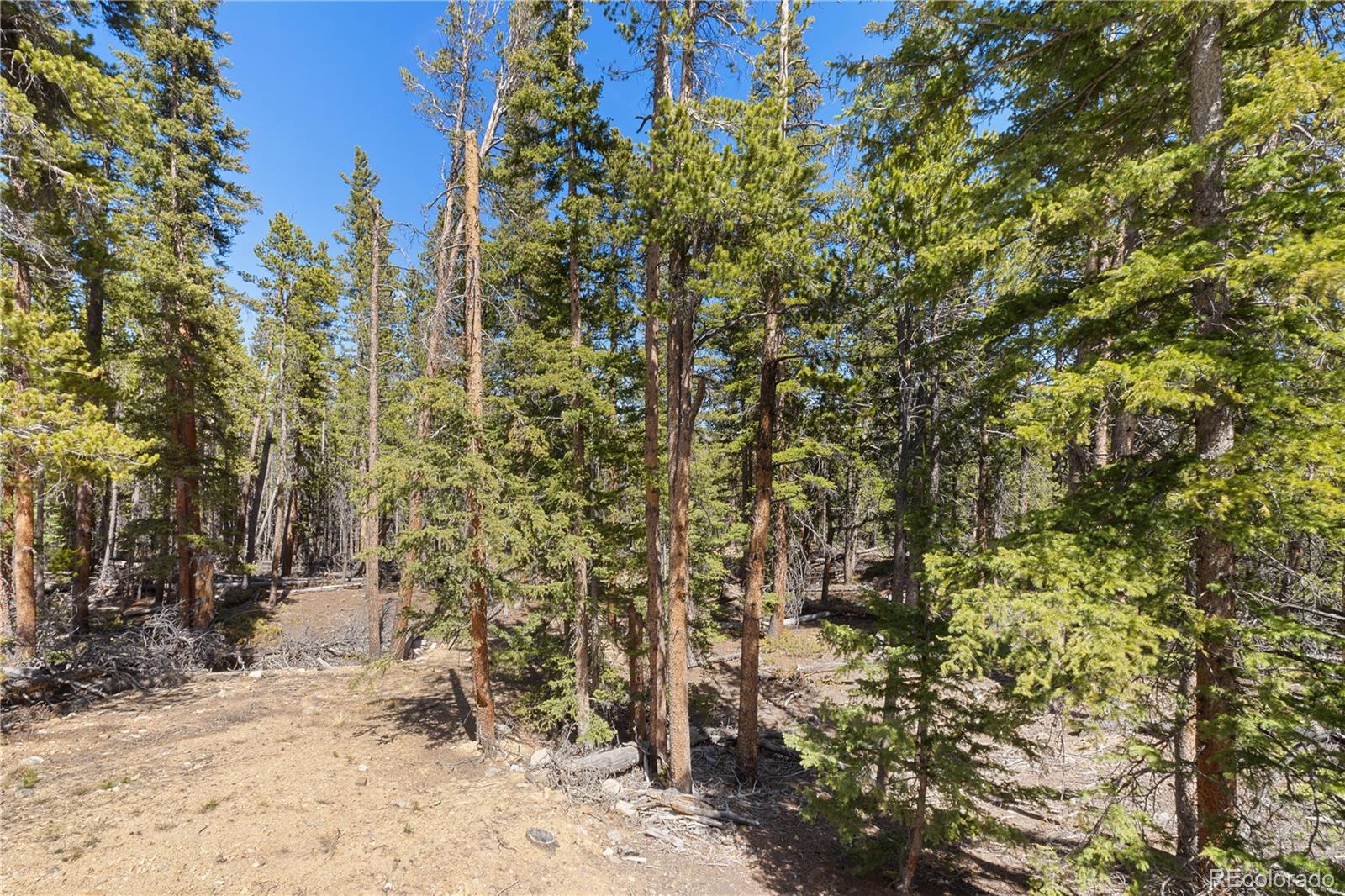 MLS Image #30 for 64  bourbons way,fairplay, Colorado