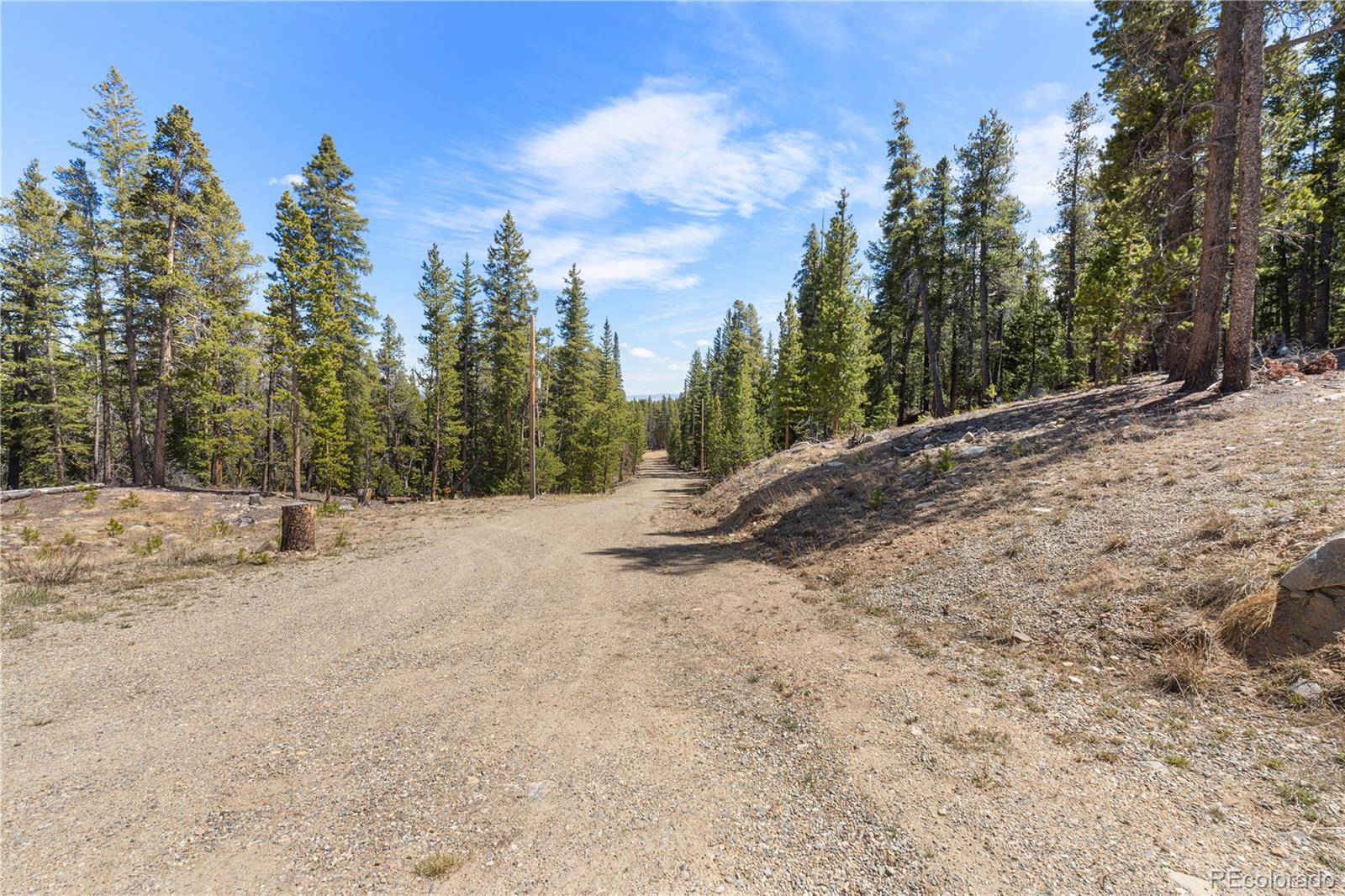 MLS Image #35 for 64  bourbons way,fairplay, Colorado
