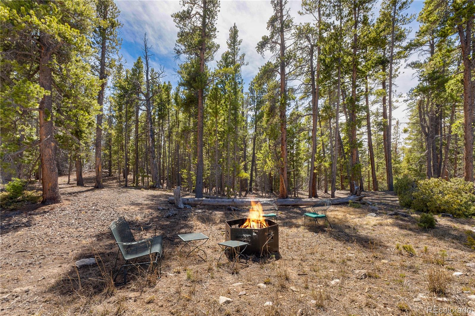 MLS Image #36 for 64  bourbons way,fairplay, Colorado