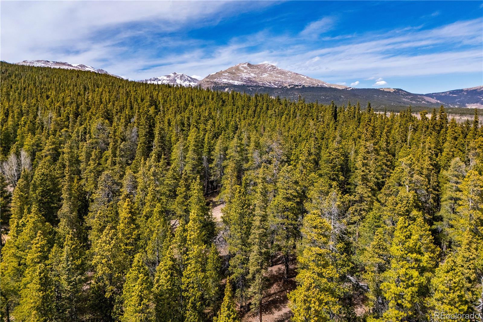MLS Image #39 for 64  bourbons way,fairplay, Colorado