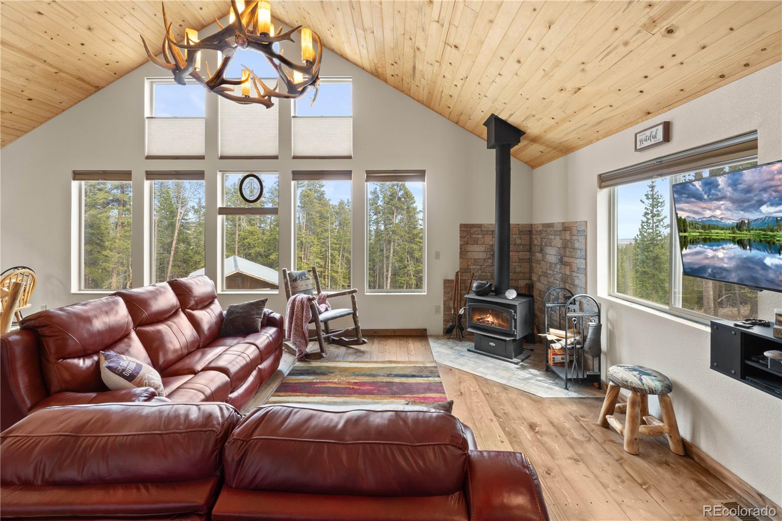 MLS Image #4 for 64  bourbons way,fairplay, Colorado
