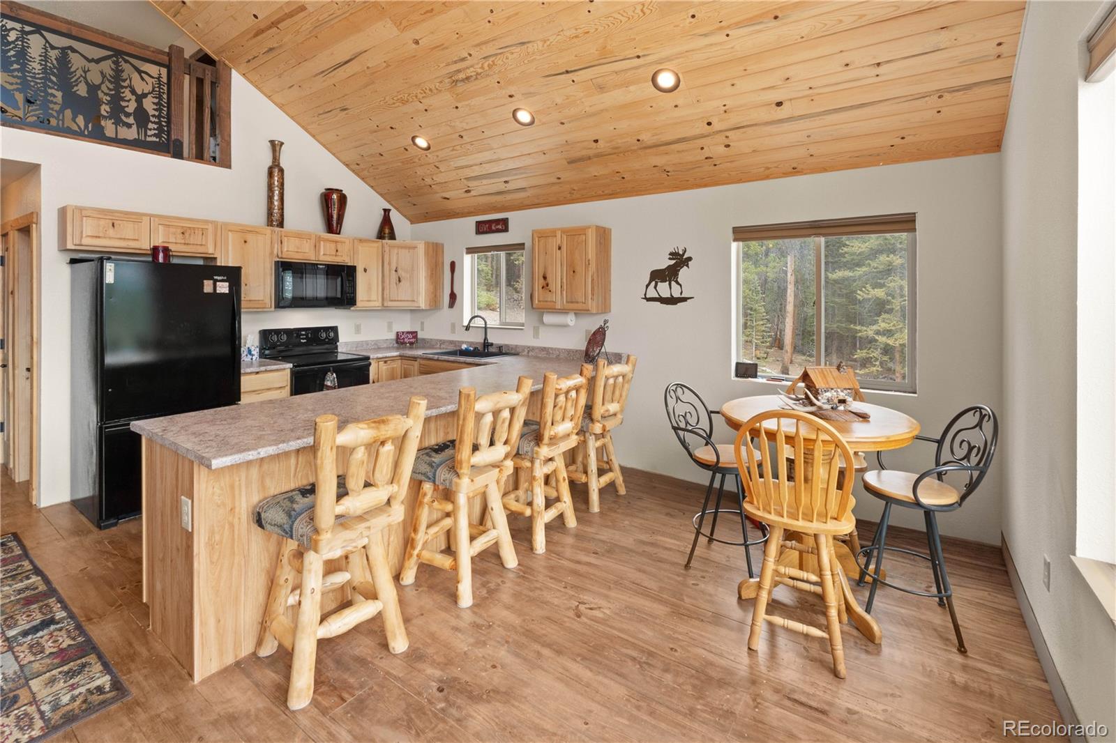 MLS Image #5 for 64  bourbons way,fairplay, Colorado