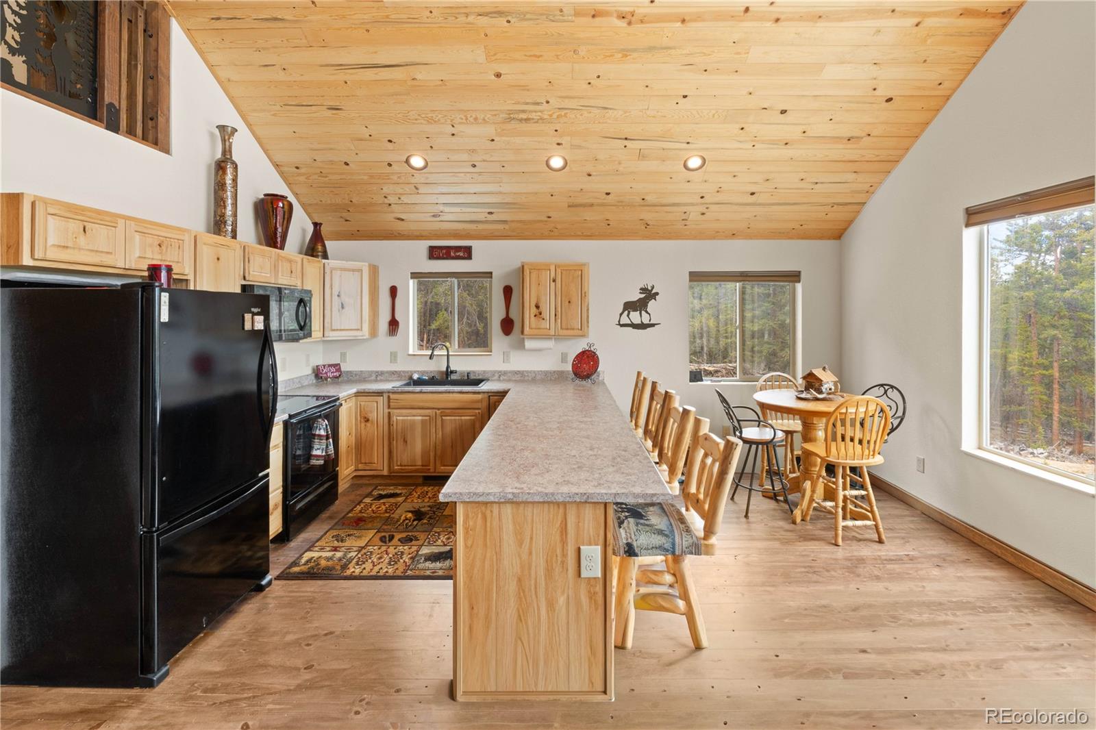 MLS Image #6 for 64  bourbons way,fairplay, Colorado