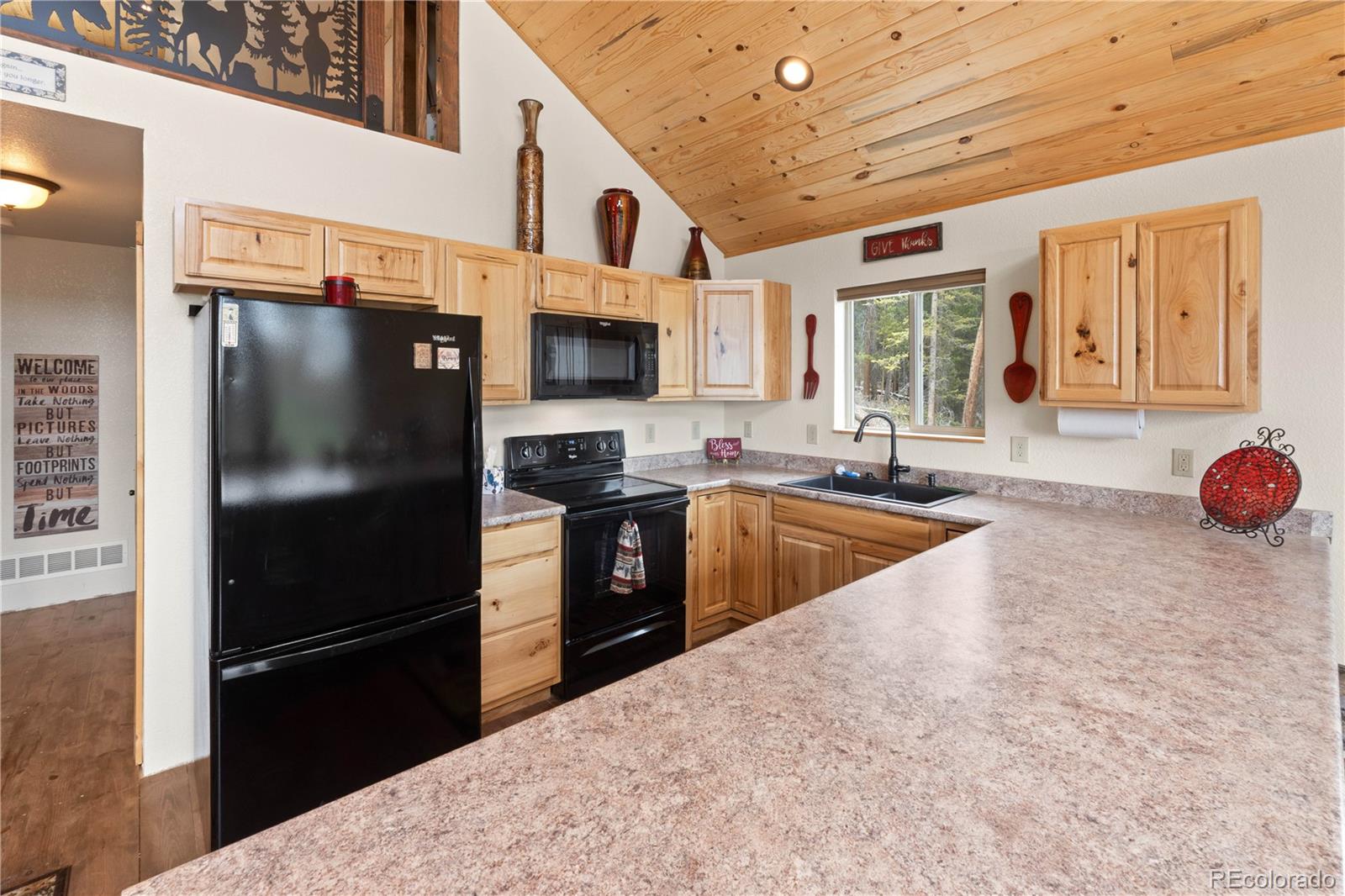 MLS Image #7 for 64  bourbons way,fairplay, Colorado