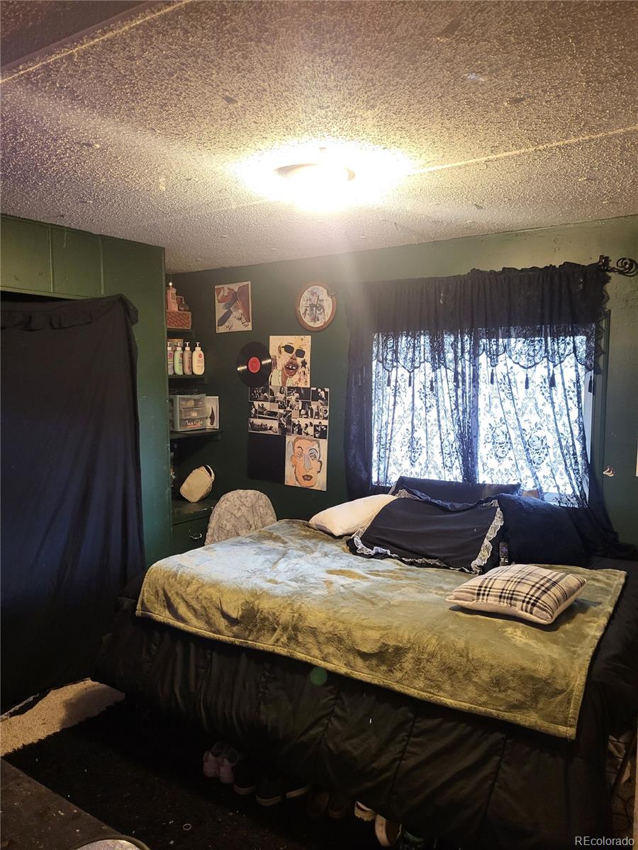 MLS Image #20 for 9069  mandel street,denver, Colorado