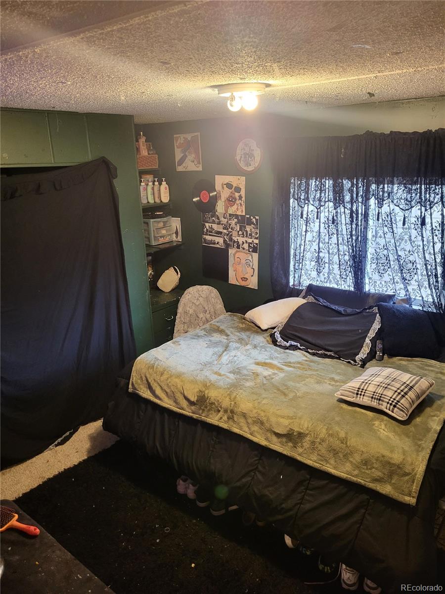 MLS Image #22 for 9069  mandel street,denver, Colorado