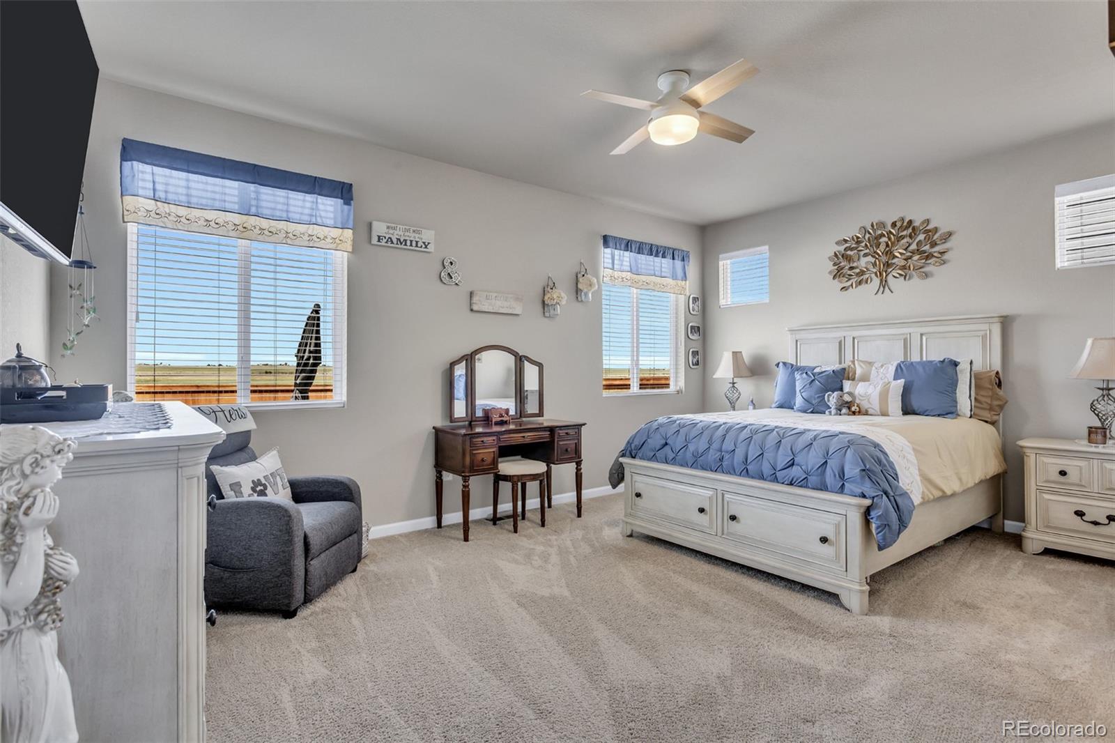MLS Image #11 for 2959  nectar street,strasburg, Colorado