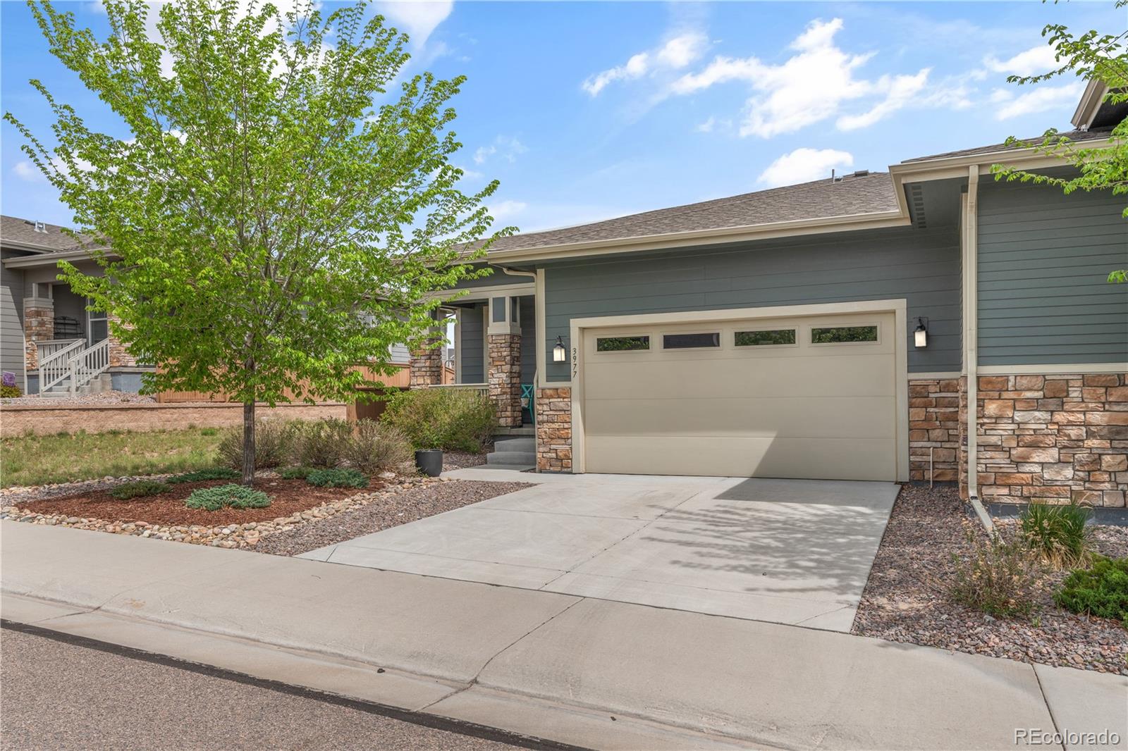 MLS Image #0 for 3977  happy hollow drive,castle rock, Colorado