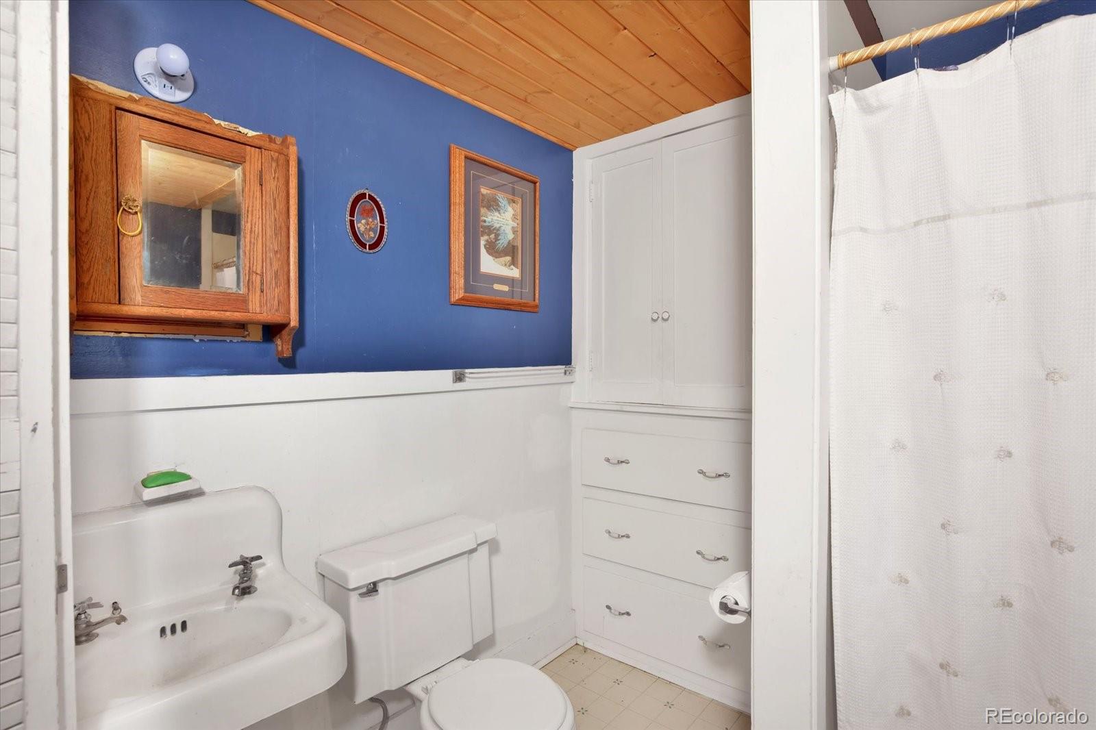 MLS Image #14 for 410  pinon street,buena vista, Colorado