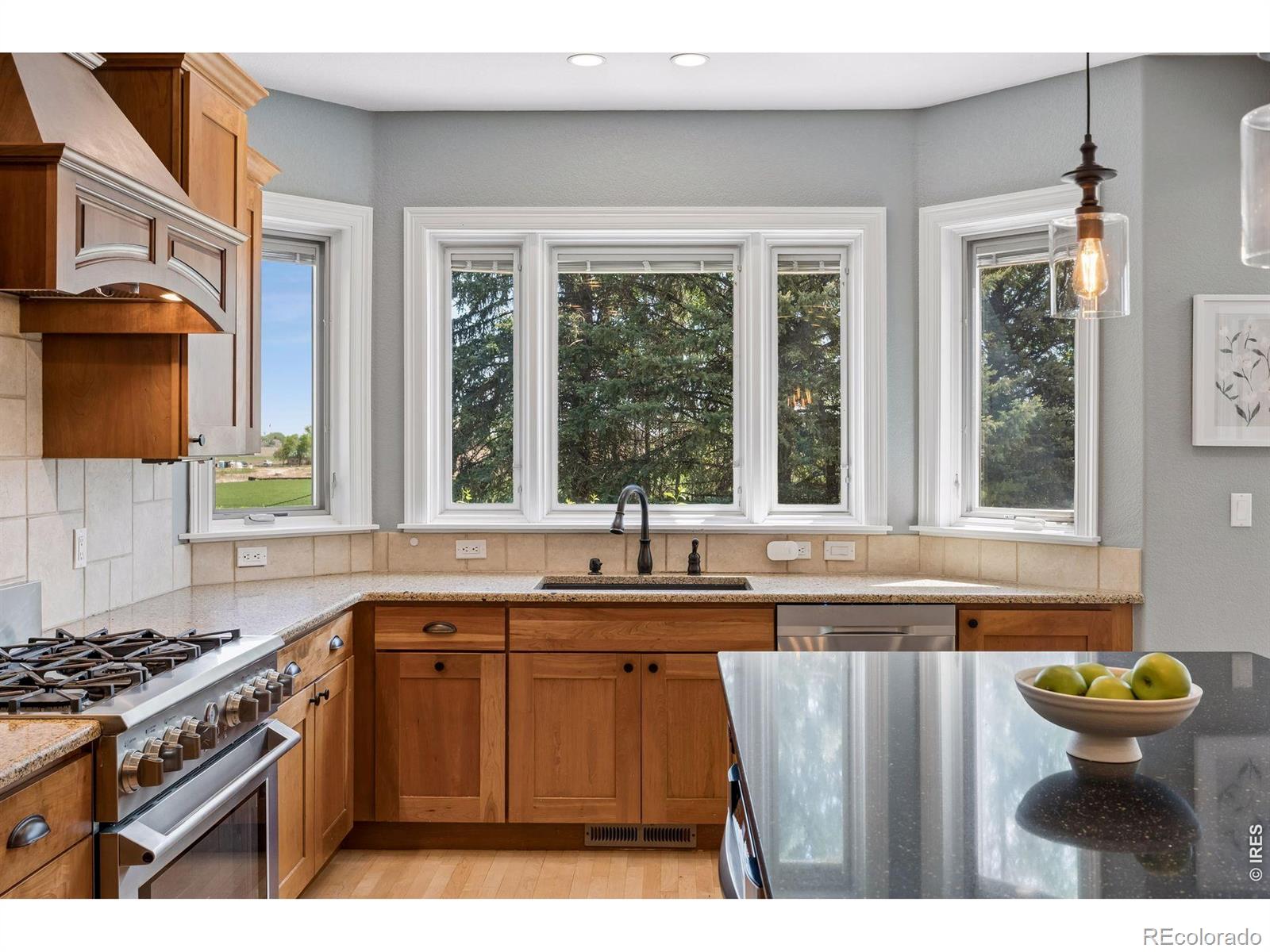 MLS Image #21 for 7273  spring creek circle,niwot, Colorado